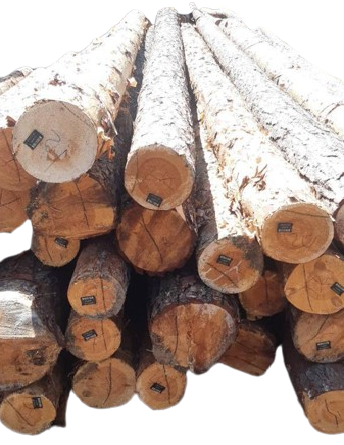 Круглі лісоматеріали сКруглі лісоматеріали, сосна, B, D2a (20-24), 2000мм, ДСТУ EN 1927-2:2019, від 1 м.куб.